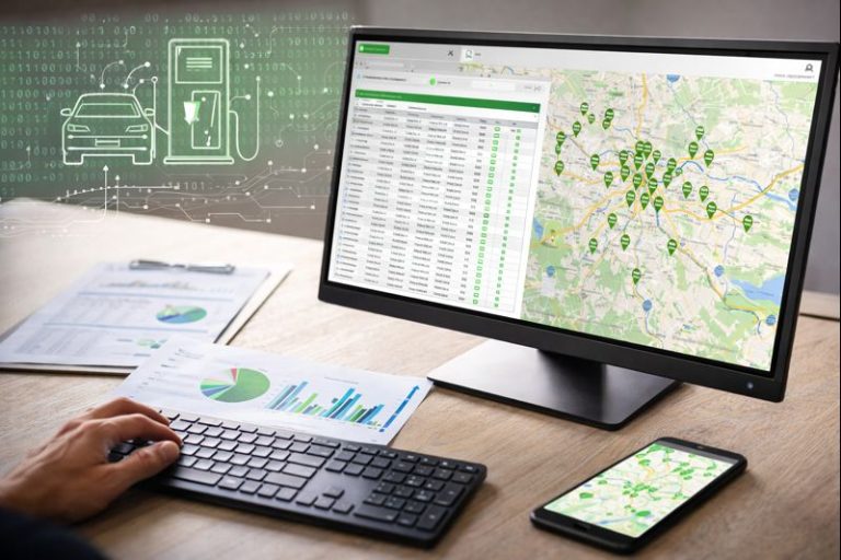 Detaljna obrada i strukturiranje baze podataka punionica kao temelj digitalnih rješenja